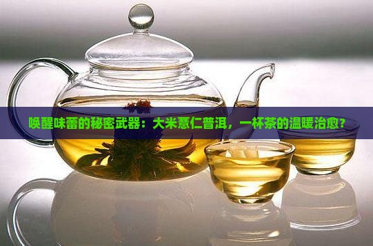 唤醒味蕾的秘密武器：大米薏仁普洱，一杯茶的温暖治愈？