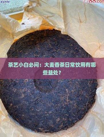 茶艺小白必问：大麦香茶日常饮用有哪些益处？