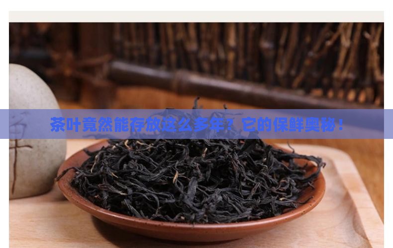 茶叶竟然能存放这么多年？它的保鲜奥秘！