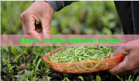 茶友必看！4个普洱茶山头哪里更好喝？我有点纠结