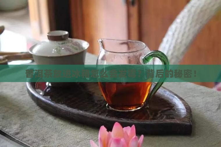 普洱茶放进冰箱怎么会发霉？背后的秘密！