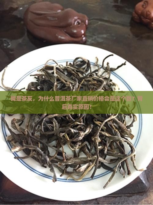 我是茶友，为什么普洱茶厂家直销价格会是这个数？背后真实原因！