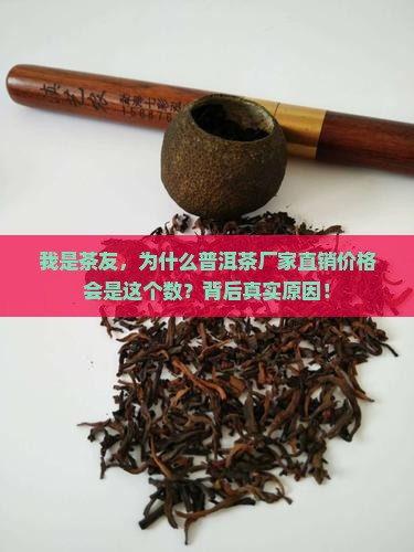 我是茶友，为什么普洱茶厂家直销价格会是这个数？背后真实原因！