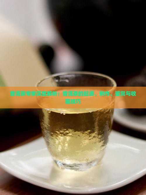 普洱茶专家深度解析：普洱茶的起源、制作、鉴赏与收藏技巧