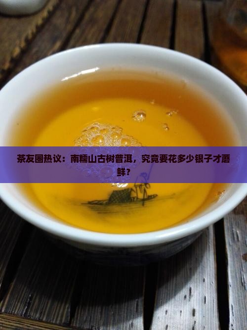 茶友圈热议：南糯山古树普洱，究竟要花多少银子才蘑鲜？
