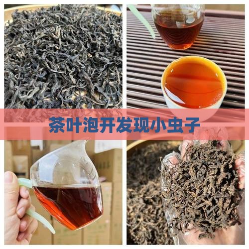茶叶泡开发现小虫子