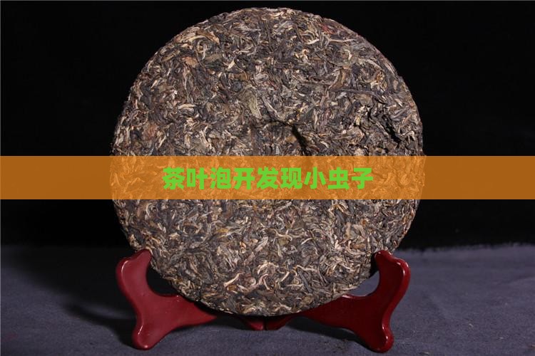 茶叶泡开发现小虫子