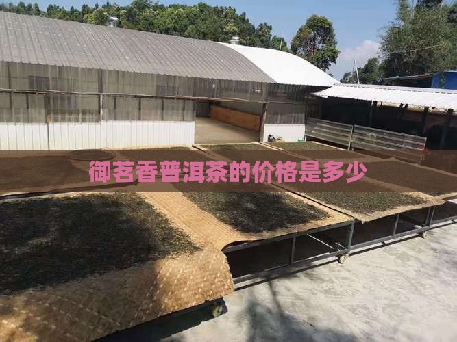 御茗香普洱茶的价格是多少