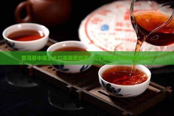 普洱茶中哪三大红茶最受欢迎？它们的特点与区别是什么？