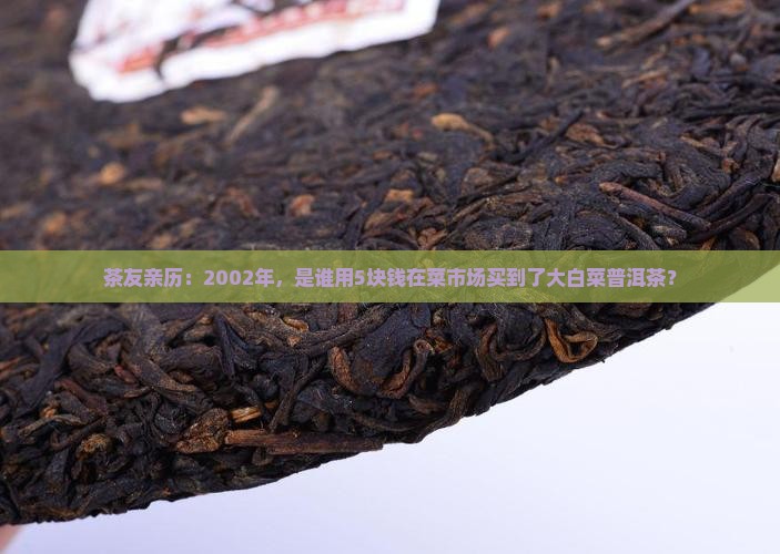 茶友亲历：2002年，是谁用5块钱在菜市场买到了大白菜普洱茶？