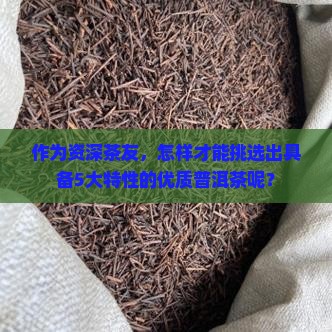 作为资深茶友，怎样才能挑选出具备5大特性的优质普洱茶呢？