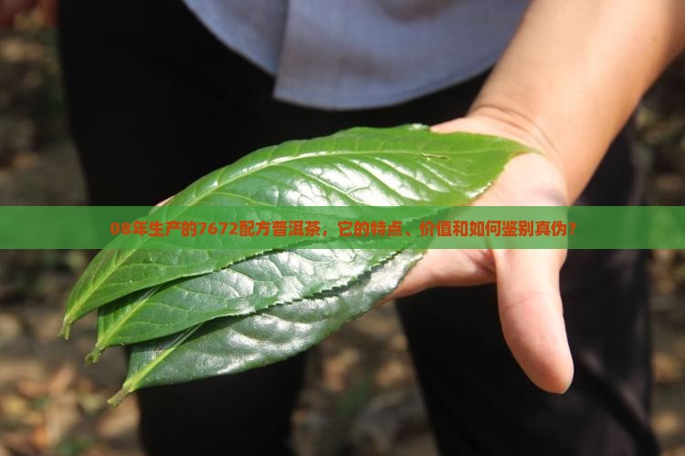 08年生产的7672配方普洱茶，它的特点、价值和如何鉴别真伪？