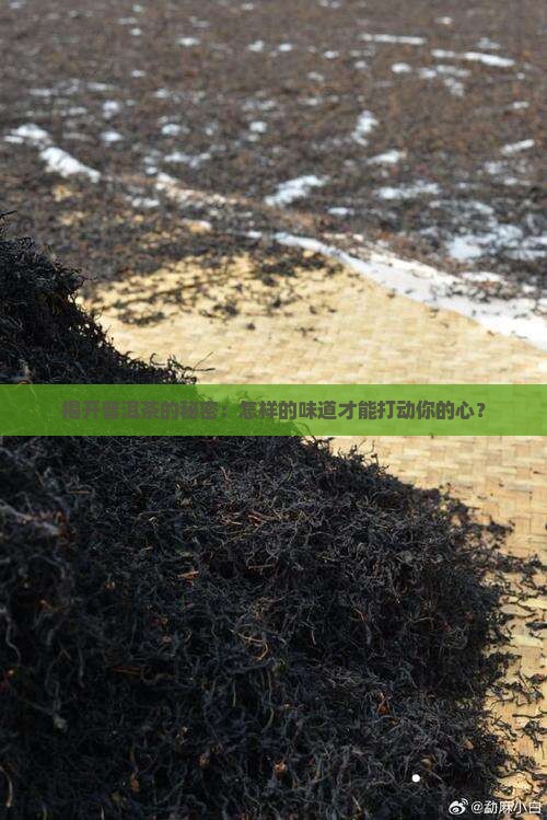 揭开普洱茶的秘密：怎样的味道才能打动你的心？