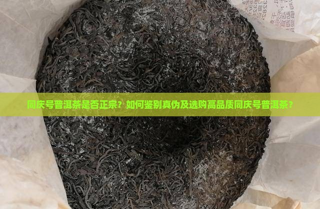 同庆号普洱茶是否正宗？如何鉴别真伪及选购高品质同庆号普洱茶？