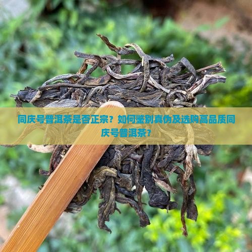 同庆号普洱茶是否正宗？如何鉴别真伪及选购高品质同庆号普洱茶？