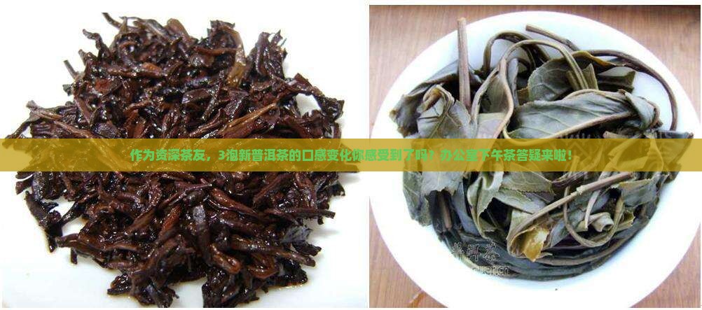 作为资深茶友，3泡新普洱茶的口感变化你感受到了吗？办公室下午茶答疑来啦！