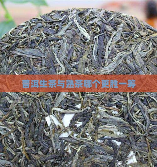 普洱生茶与熟茶哪个更胜一筹