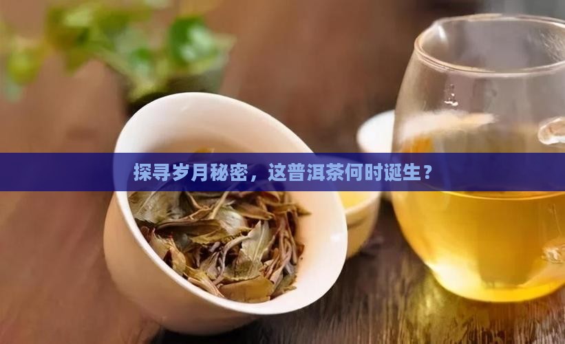 探寻岁月秘密，这普洱茶何时诞生？