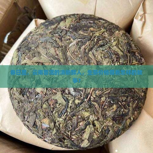 春日里，云南普洱的清新醉人，生茶价格藏着怎样的故事？