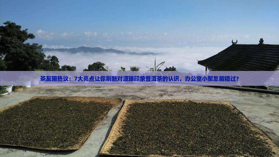 茶友圈热议：7大亮点让你刷新对源臻印象普洱茶的认识，办公室小聚怎能错过？