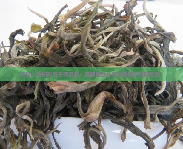 年轻人为何热衷于普洱茶？其健康益处与时尚潮流有何关联？