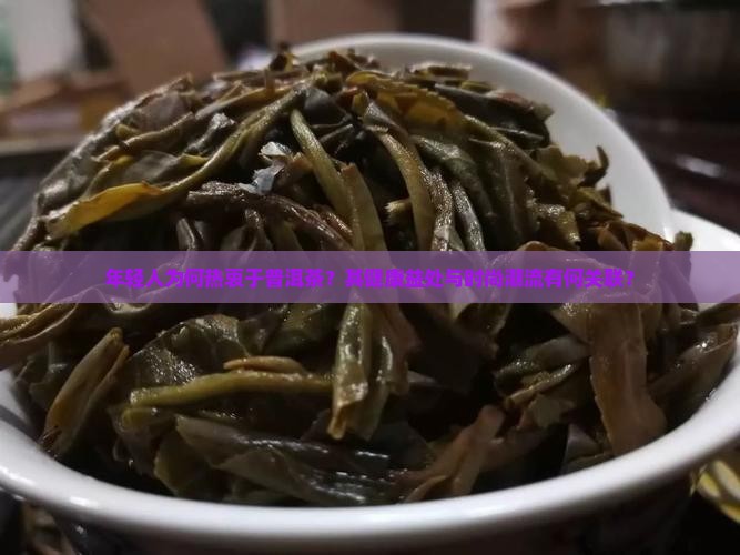 年轻人为何热衷于普洱茶？其健康益处与时尚潮流有何关联？