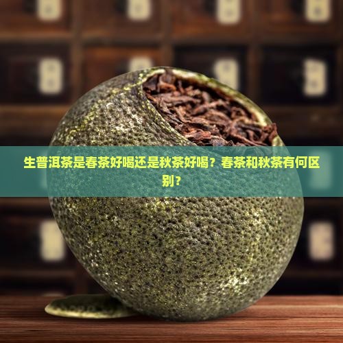 生普洱茶是春茶好喝还是秋茶好喝？春茶和秋茶有何区别？