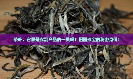 茶叶，它算是农副产品的一员吗？田园珍宝的秘密身份！