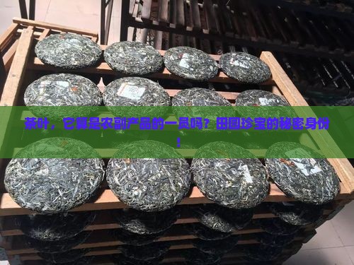 茶叶，它算是农副产品的一员吗？田园珍宝的秘密身份！