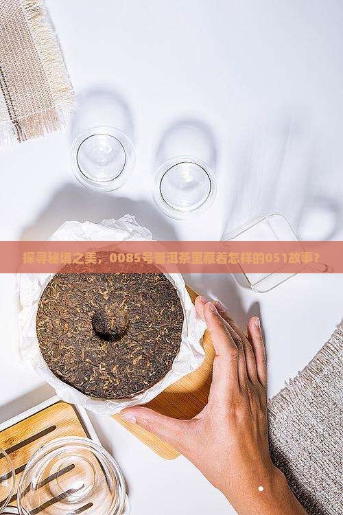 探寻秘境之美，0085号普洱茶里藏着怎样的051故事？
