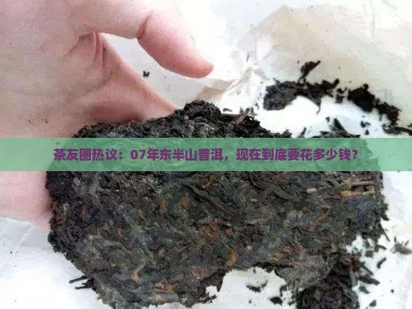 茶友圈热议：07年东半山普洱，现在到底要花多少钱？
