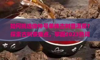 如何挑选俊仲号单株古树普洱茶？探索古树茶痛点，掌握2023热词新词选购秘籍！