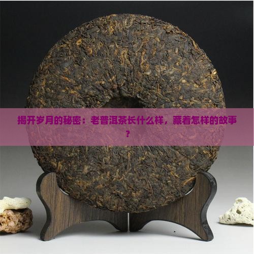 揭开岁月的秘密：老普洱茶长什么样，藏着怎样的故事？