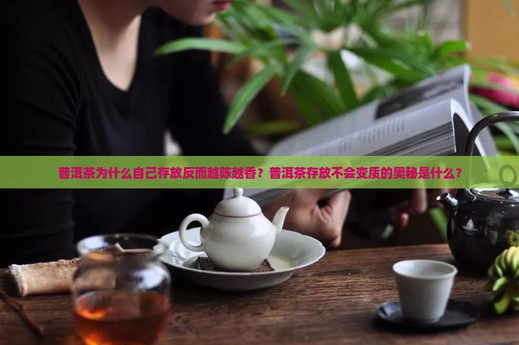 普洱茶为什么自己存放反而越陈越香？普洱茶存放不会变质的奥秘是什么？