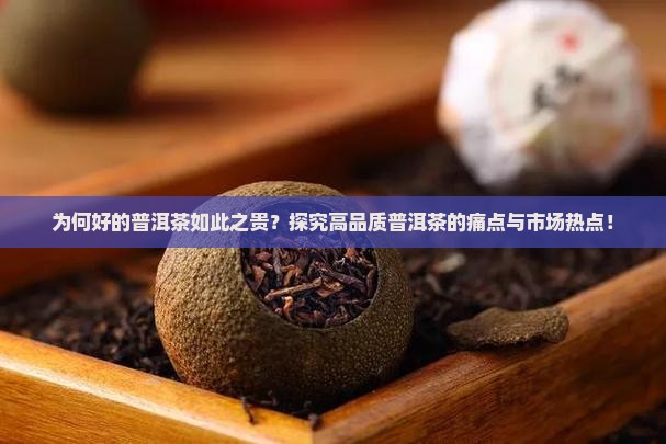 为何好的普洱茶如此之贵？探究高品质普洱茶的痛点与市场热点！