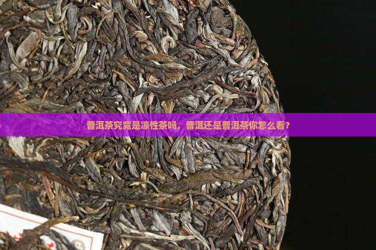 普洱茶究竟是凉性茶吗，普洱还是普洱茶你怎么看？