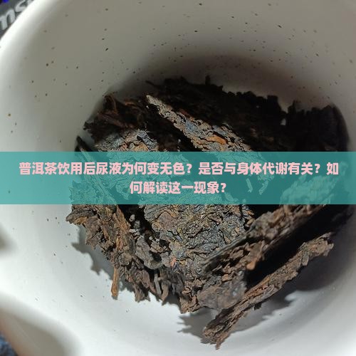 普洱茶饮用后尿液为何变无色？是否与身体代谢有关？如何解读这一现象？