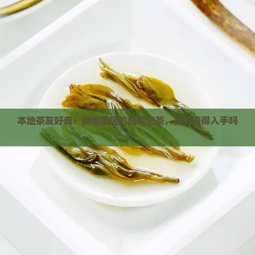 本地茶友好奇：勐海茶区的白菜沱茶，真的值得入手吗？