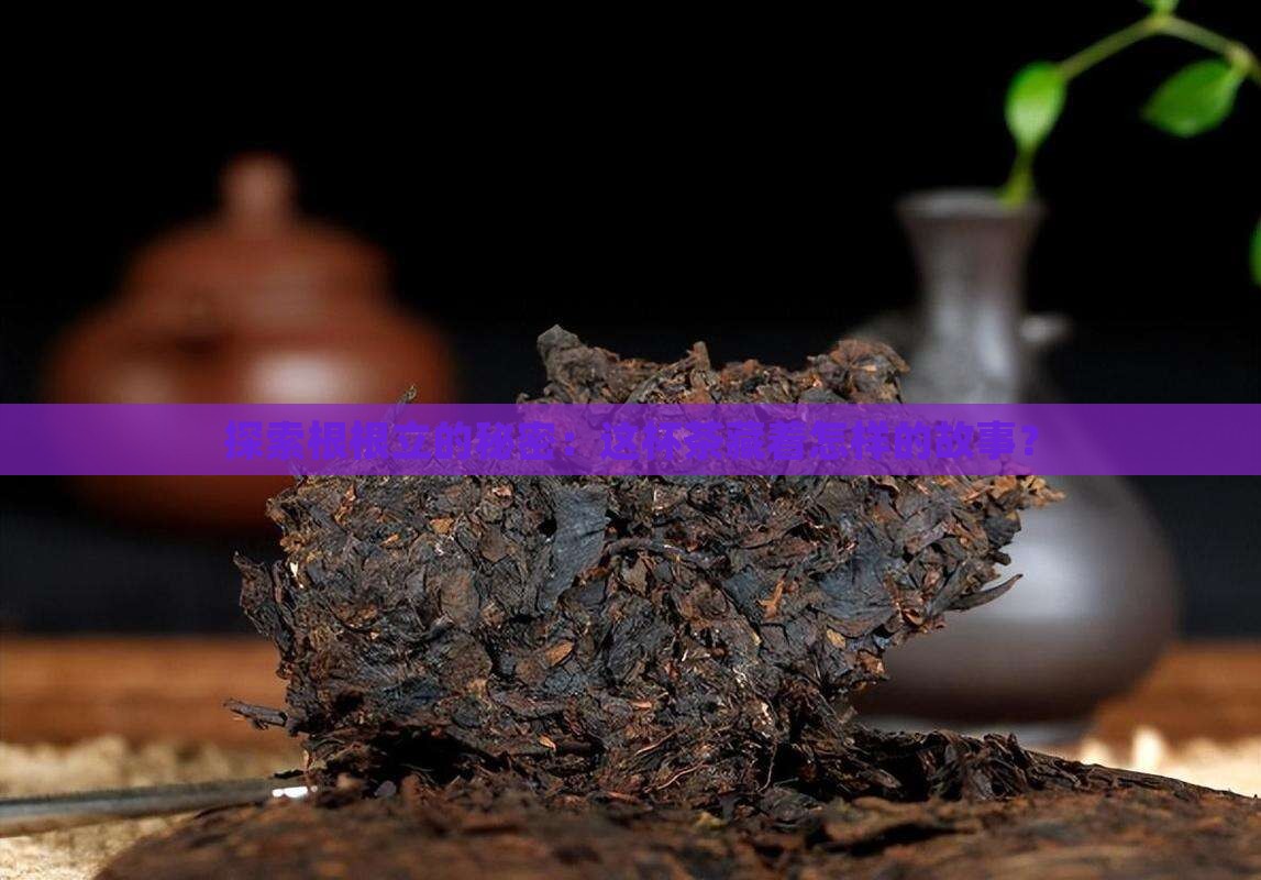 探索根根立的秘密：这杯茶藏着怎样的故事？