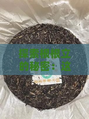 探索根根立的秘密：这杯茶藏着怎样的故事？