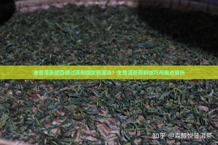 老普洱茶能否通过蒸制焕发新滋味？生普洱茶蒸制技巧与痛点解析