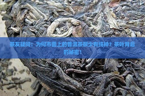 茶友疑问：为何市面上的普洱茶很少有纯种？茶叶背后的秘密！