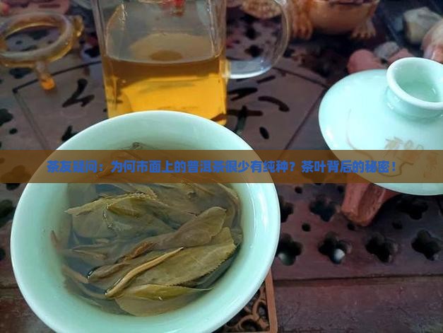 茶友疑问：为何市面上的普洱茶很少有纯种？茶叶背后的秘密！