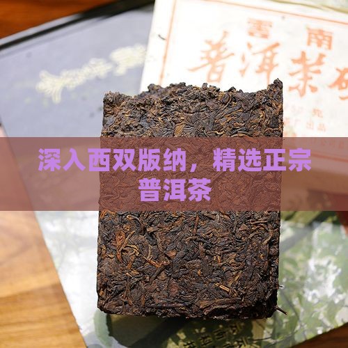 深入西双版纳，精选正宗普洱茶