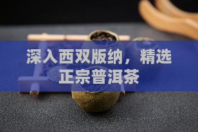 深入西双版纳，精选正宗普洱茶