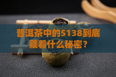 普洱茶中的5138到底藏着什么秘密？