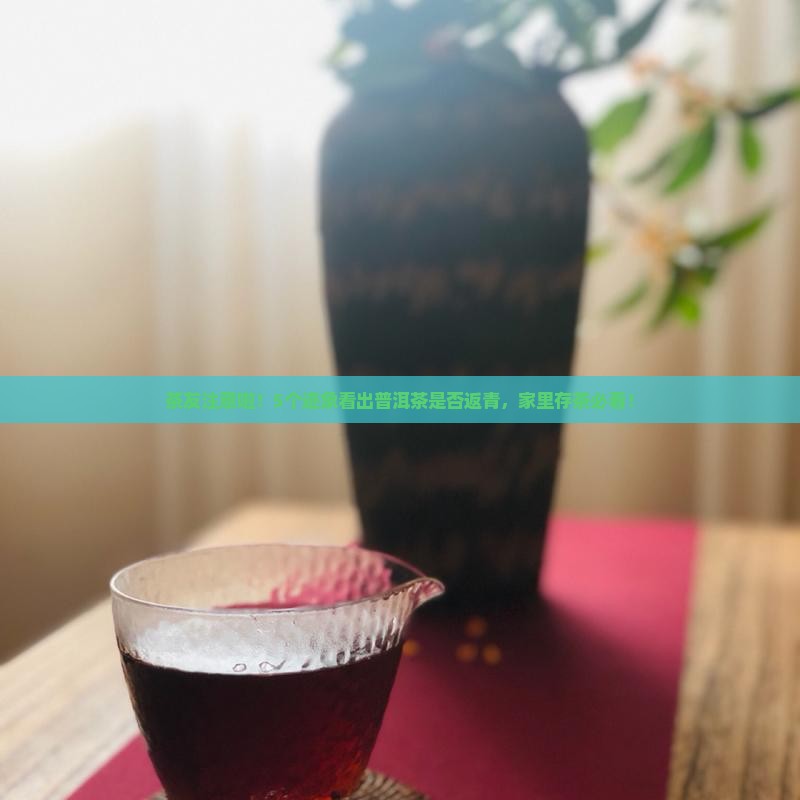 茶友注意啦！5个迹象看出普洱茶是否返青，家里存茶必看！