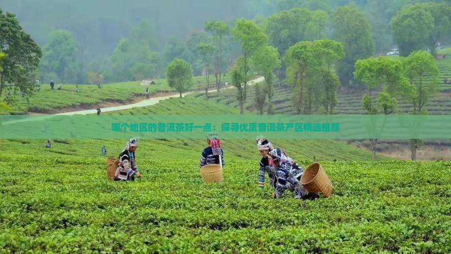 哪个地区的普洱茶好一点：探寻优质普洱茶产区精选推荐