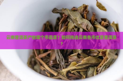 云南普洱茶产地哪个市品质？如何挑选云南各市优质普洱茶？