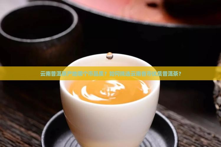 云南普洱茶产地哪个市品质？如何挑选云南各市优质普洱茶？